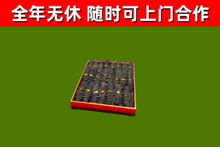 壶关回收海参